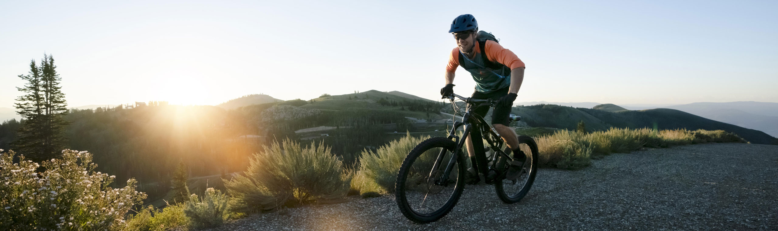 Tour in e-bike sul Lago di Garda a Torri del Benaco