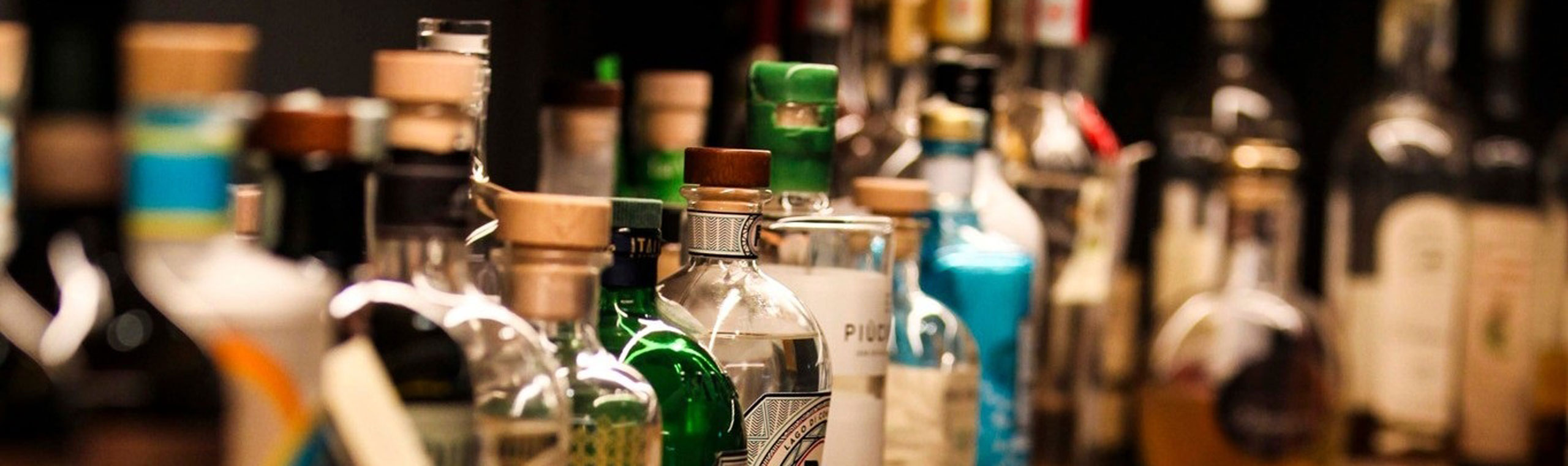 Gin tasting sul Lago di Garda a Torri del Benaco