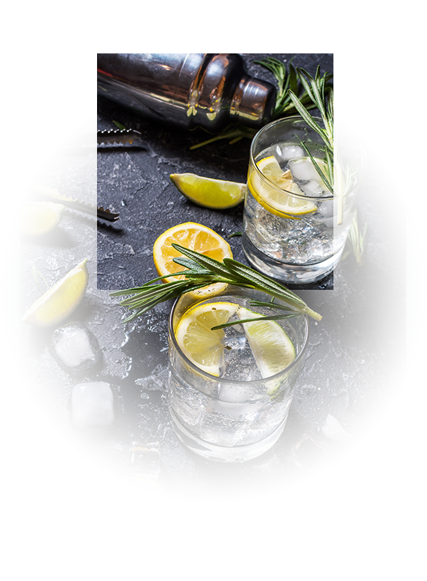 Selezione gin per degustazione sul Lago di Garda