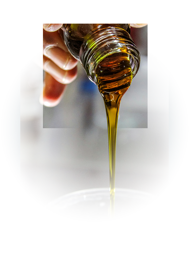 Olio extravergine del Garda in degustazione