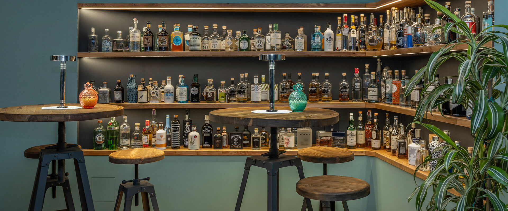 Gin notes